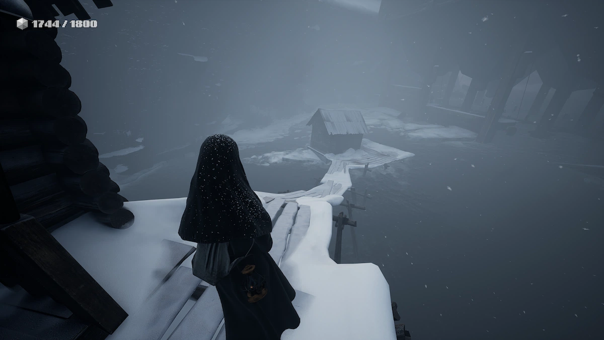 凍った水面に向かう