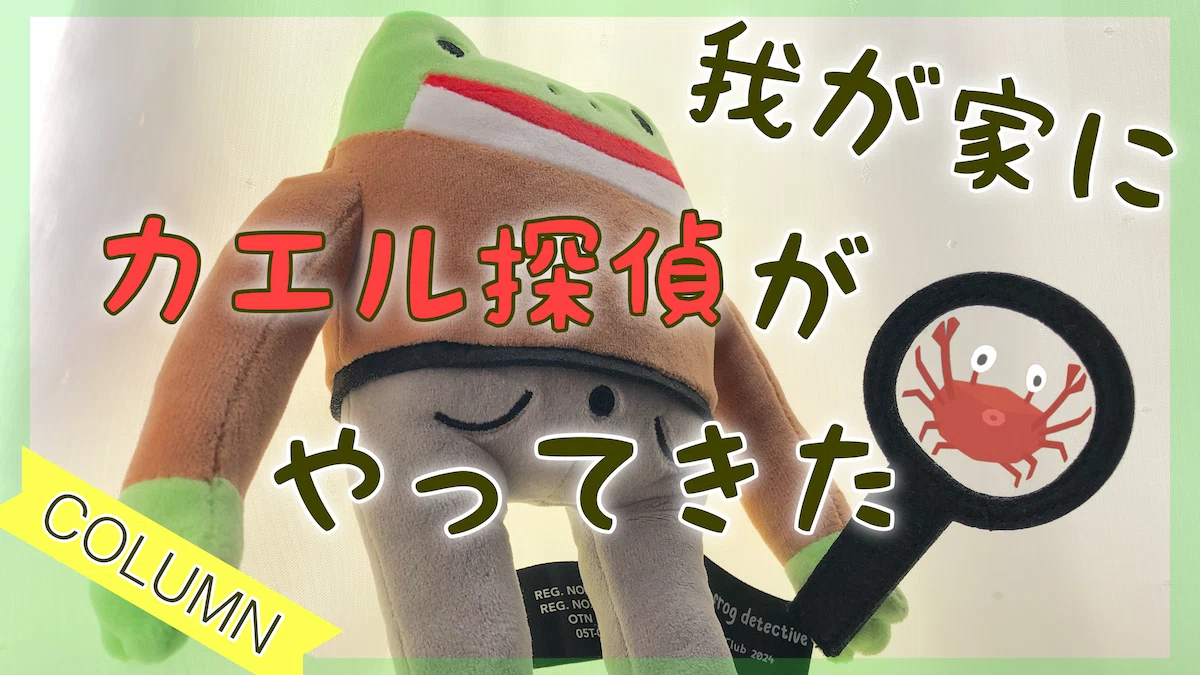 我が家にカエル探偵がやってきた