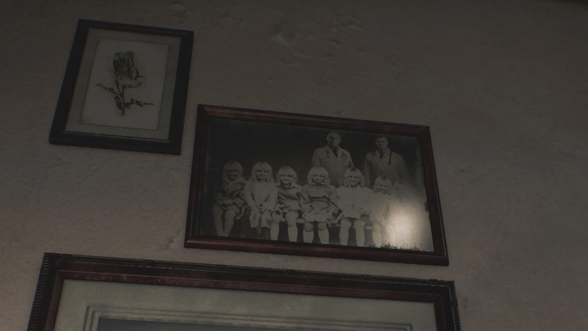 似たような少女の写真