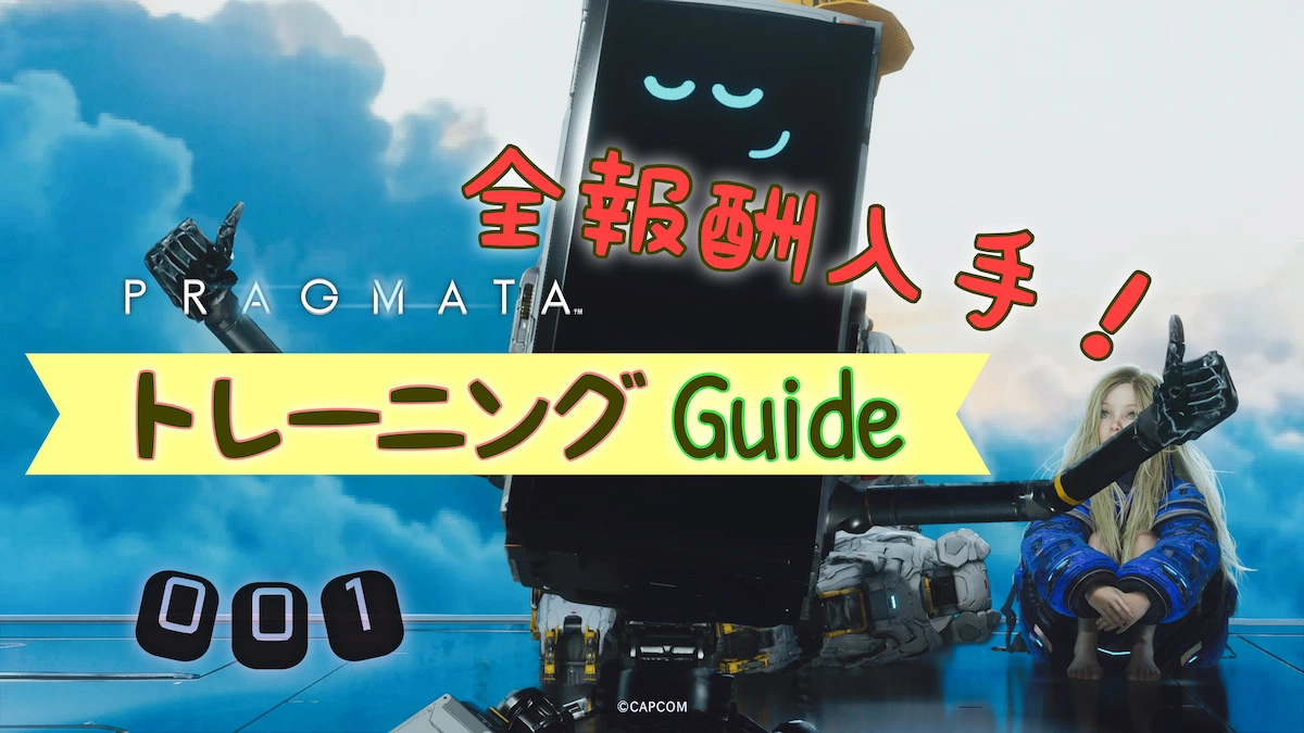 プラグマタ・トレーニングガイド