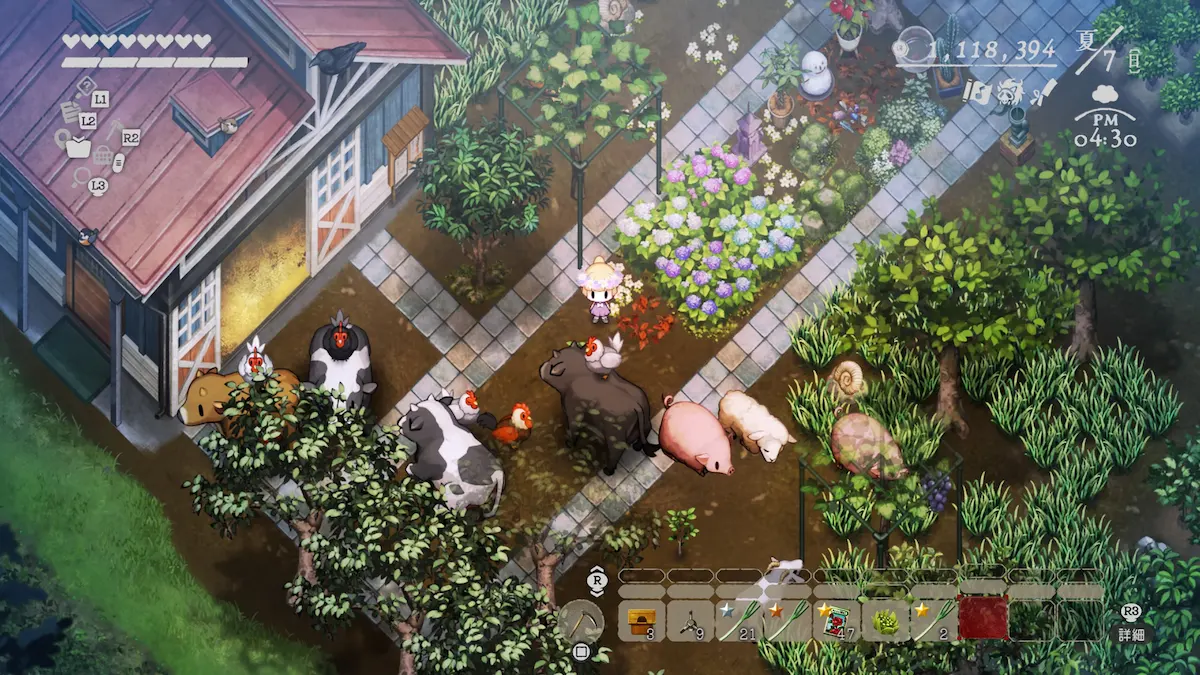牧場にて